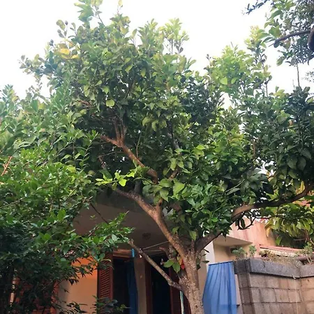 Casa de Férias Punta Nera Palau