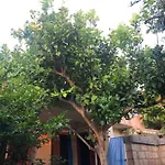بيت للعطل Punta Nera بالاو